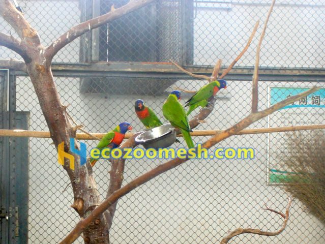 View of Parrot cage netting, parrot fence, wire rope woven mesh for parrot cages