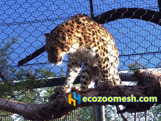 animals mesh, zoo enclosure, zoo fence, zoo mesh, zoo netting