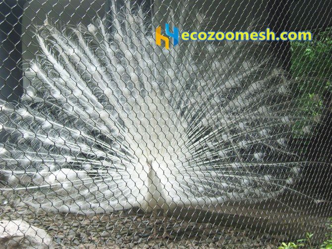 Aviaries Wire Stainless Steel 1x1m/38,1 x 38,1mm 3,0mm Wire Strength V2A 