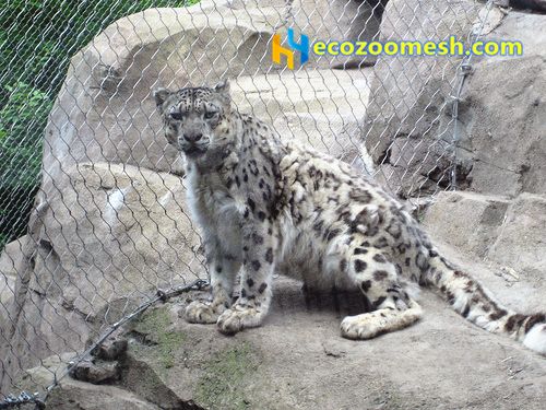 snow leopard enclosure mesh, leopard cage protection fence