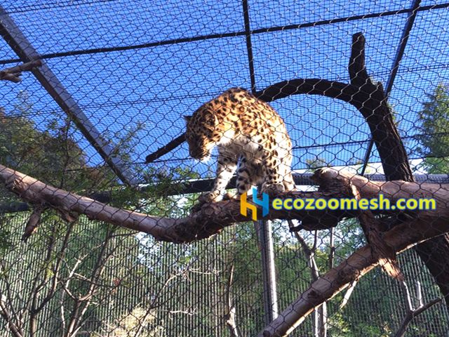 Leopard cage fence, Leopard fences mesh, Leopard enclosure mesh