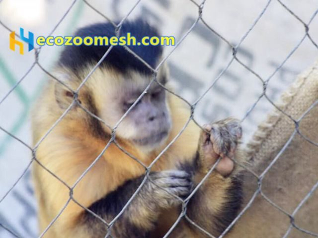 Mokey-enclosure-mesh