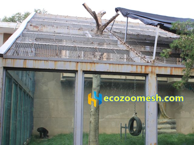 chimpanzee cage top covered mesh