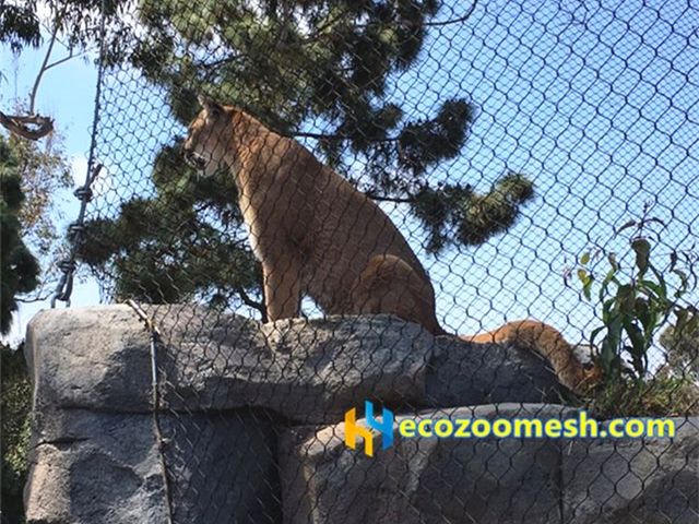 lion cage fence, lion enclosure mesh, lion protection fencing