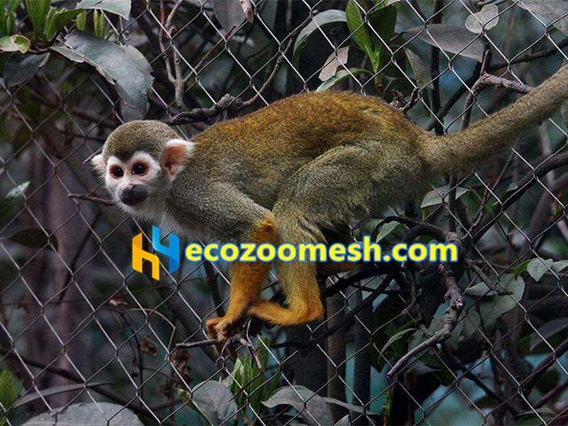 stainless steel monkey enclosure, monkey cage netting