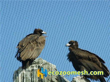 Eagle cage netting, eagle fence, eagle enclosure