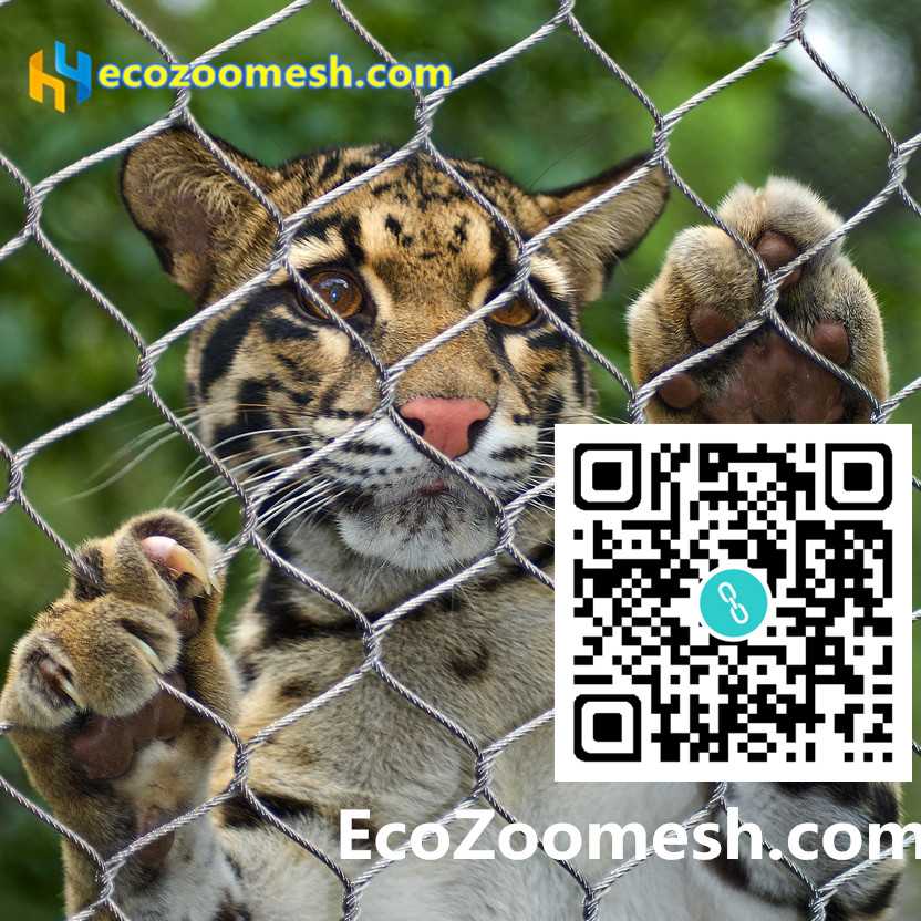 www.ecozoomesh.com