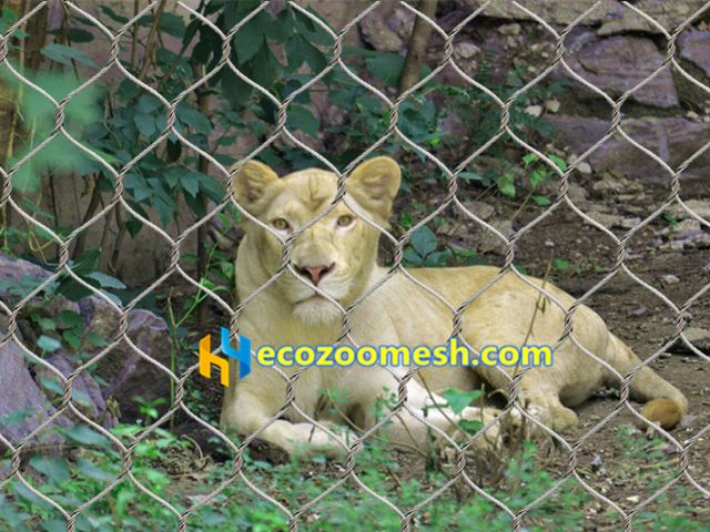 lion cage fence, lion fence mesh
