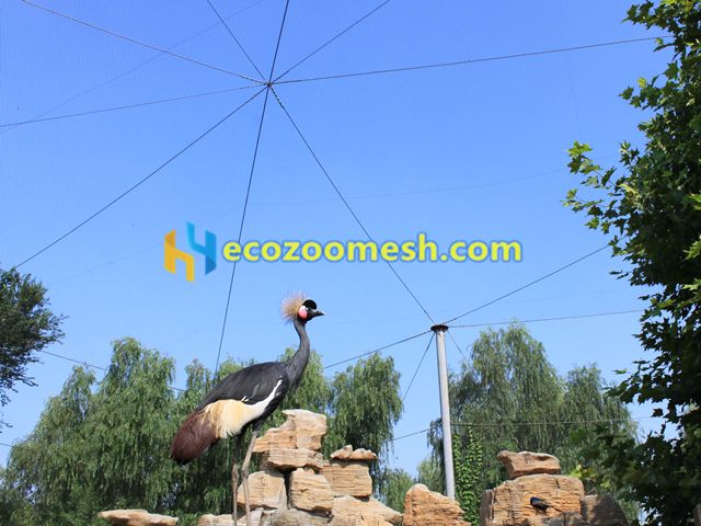  bird cage tope covered mesh