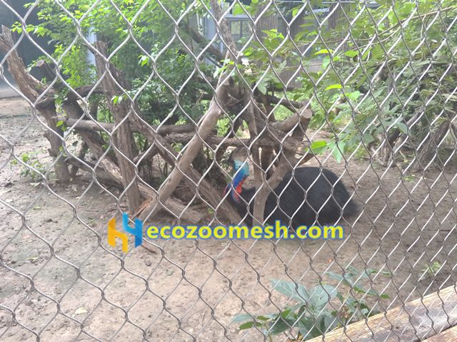 bird exhibit enclosure mesh