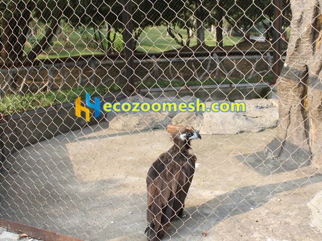 eagle cage fence netting
