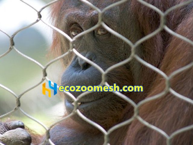gorilla enclosure mesh