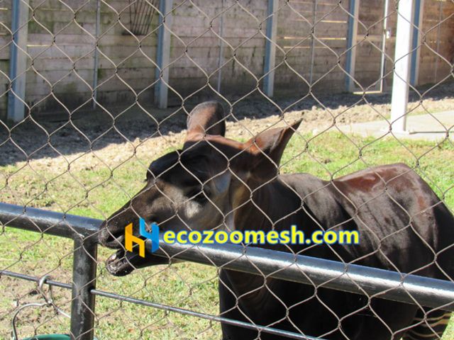 large animal fencing mesh