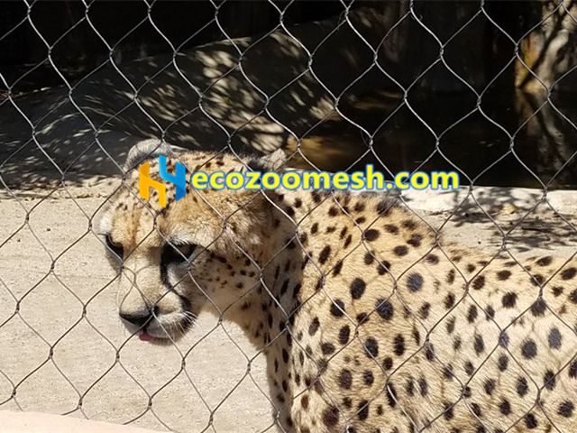 Leopard fence protection mesh, leopard cage netting