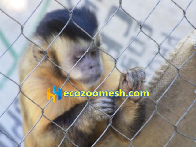 monkey cage enclosure mesh