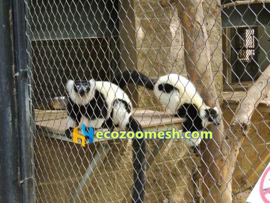 monkey cage netting fence
