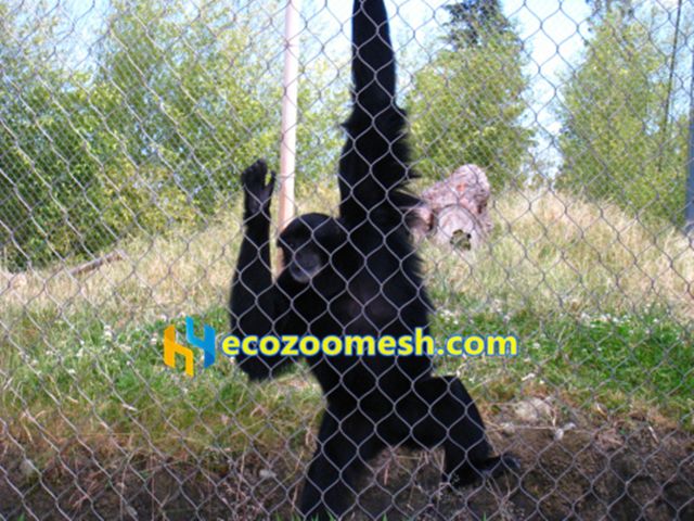 chimpanzee enclosure fence mesh