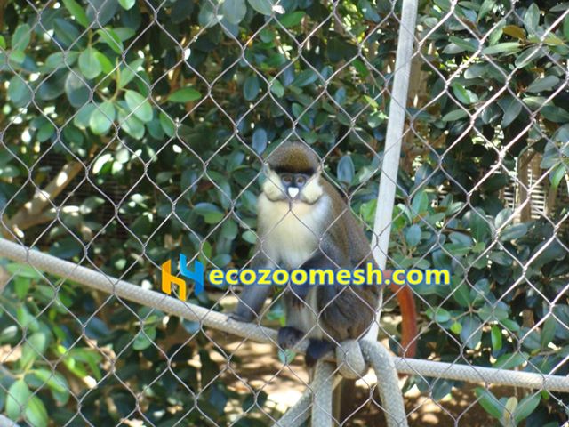 monkey enclosure fence mesh