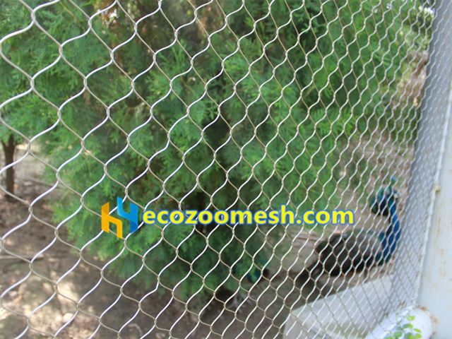 peacock enclosure fence mesh
