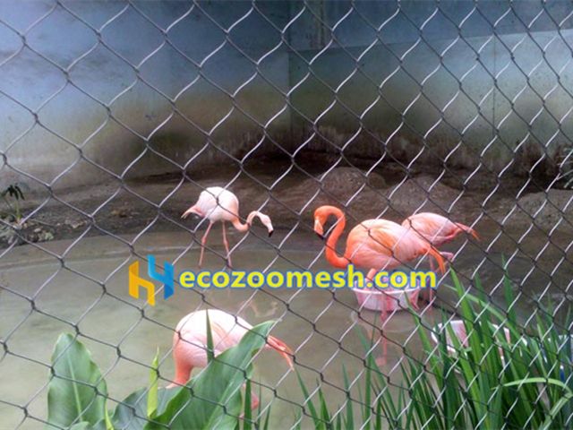 flamingo netting fence