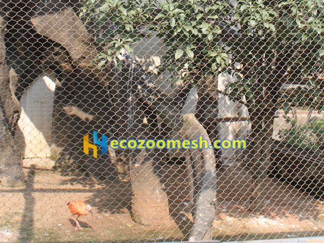 stainless steel aviary fence mesh