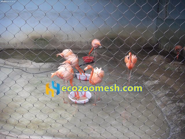 stainless steel flamingo cage fence