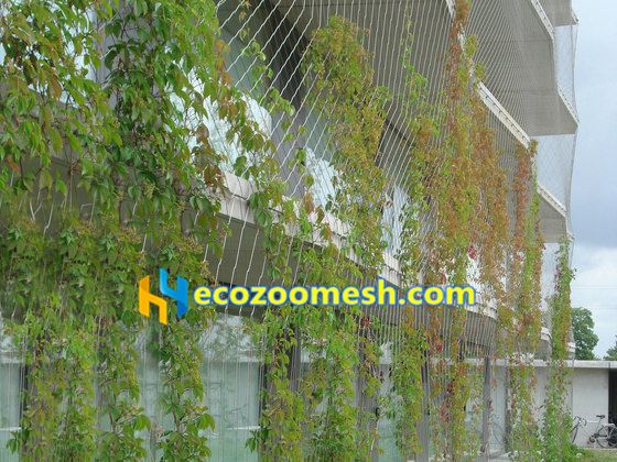 stainless steel plant climbing mesh netting