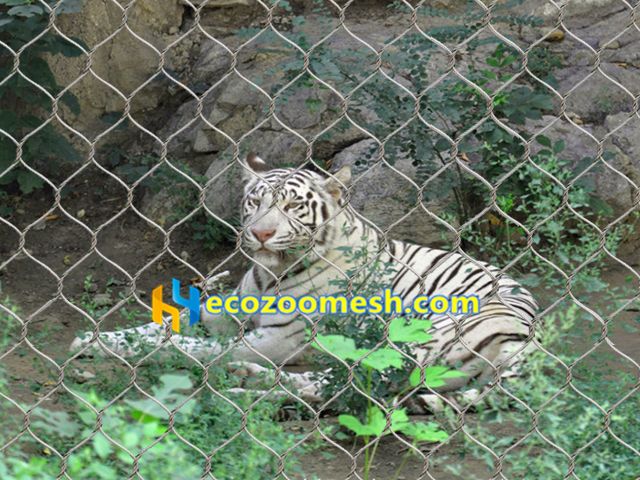 tiger enclosure fence mesh