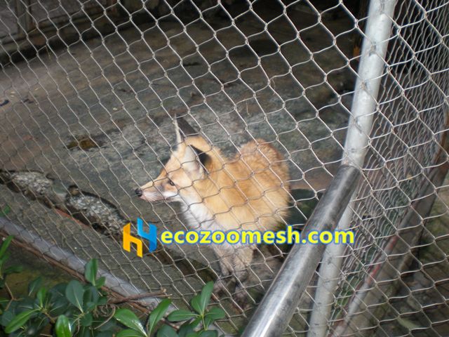 wolf enclosure fence mesh