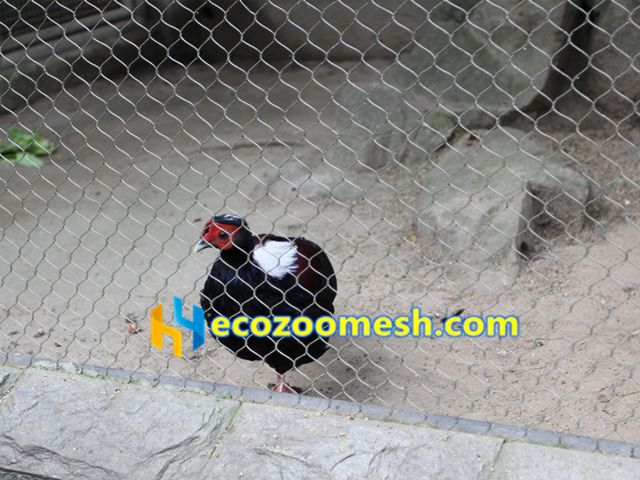 stainless steel braid mesh for zoo bird netting, zoo fence, bird enclosure mesh