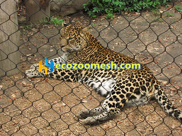 Braided mesh net for leopard, zoo safety mesh net