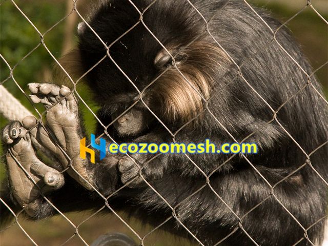 gorilla enclosure mesh