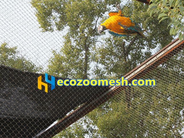 quality parrot aviary wire mesh