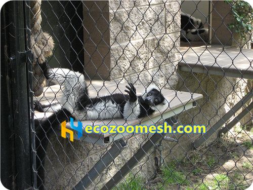 black small animal cage netting, zoo fence mesh