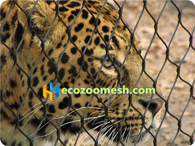 black stainless steel rope mesh for zoo fence