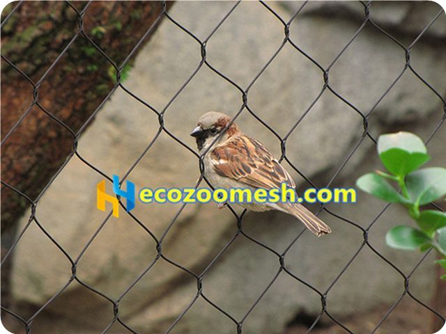 black stainless steel wire cable mesh for bird netting, black wire bird aviary mesh