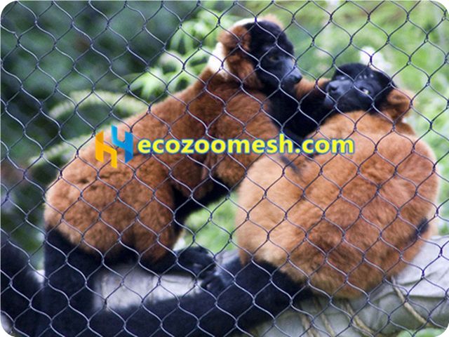 black stainless steel zoo mesh, black steel wire zoo fence