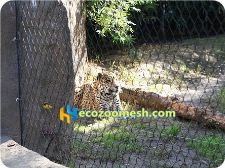 black steel wire rope mesh for big cat
