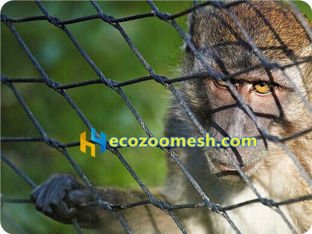 Zoo mesh for factory sales, USA zoo mesh sales