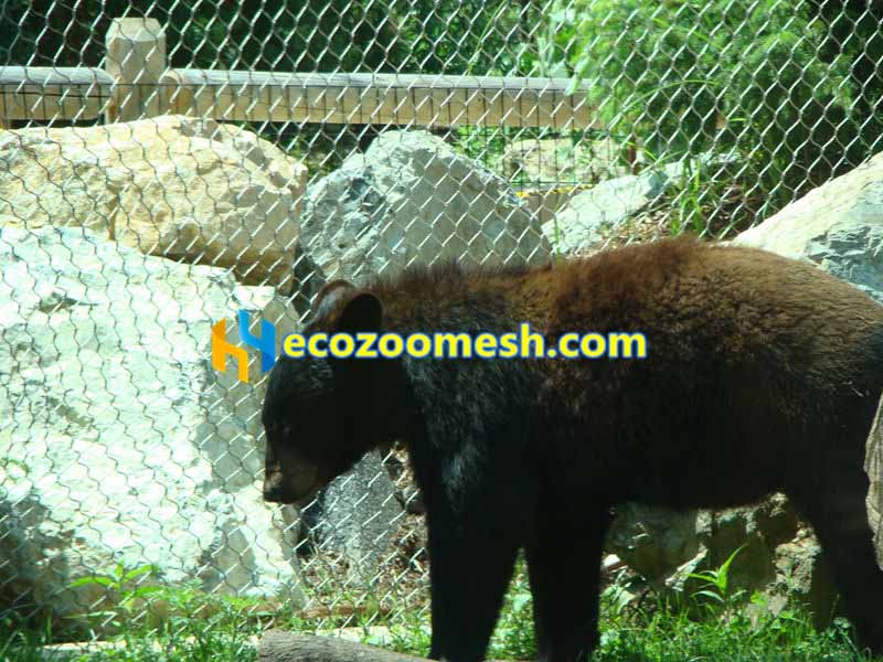 Transparent Bear Cage Wire | Zoo Mesh Supplier-Hengyi