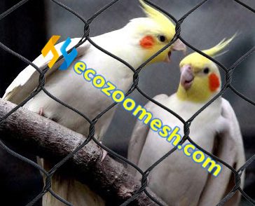 bird cage net price