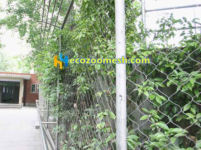 Plant climbing mesh net