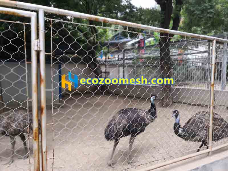Emu protective fence