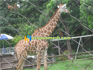 giraffe cage fence mesh
