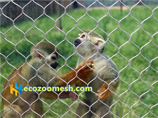 monkey cage fence mesh