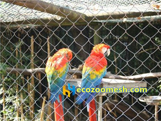 <h4>Parrots Cage Mesh</h4>