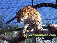tiger-enclosure-fence-mesh-netting2