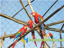 zoo-mesh-phantom-mesh-aviary-mesh-Parrot-mesh-4-12