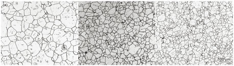 SSWRMD-Microstructure of austenitic stainless steel