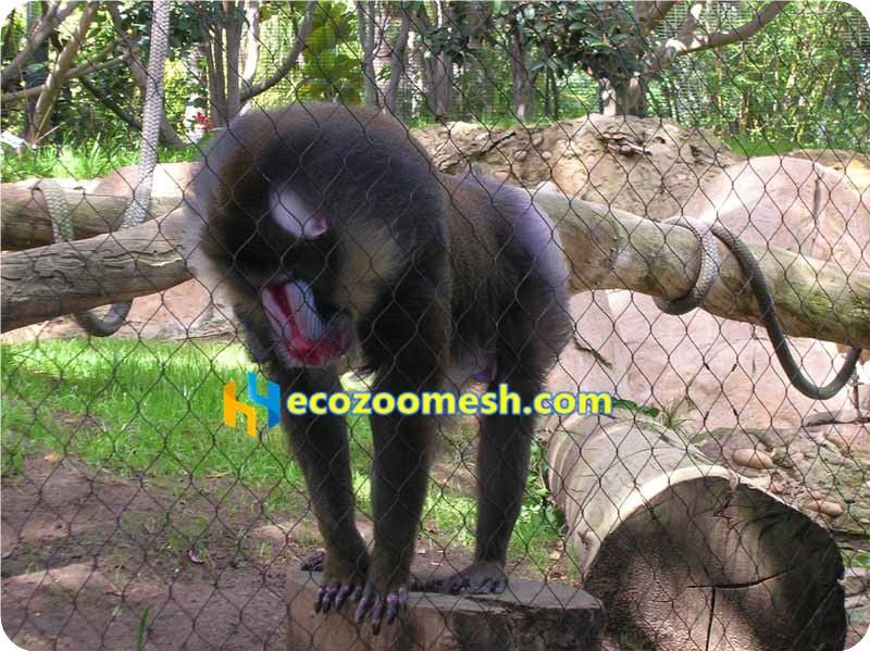 black wire rope net for monkey